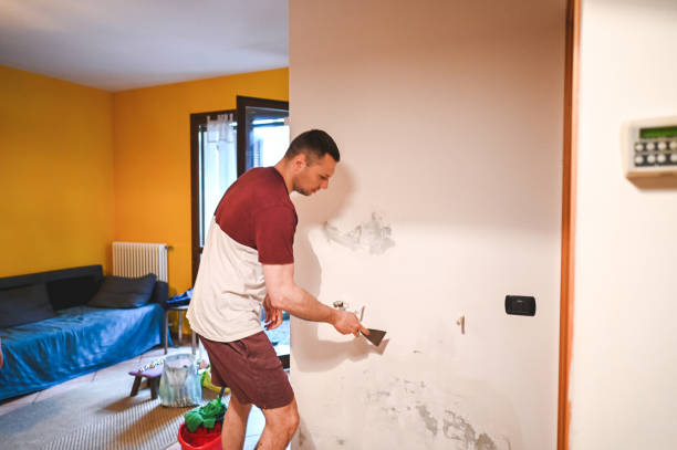 Best Black Mold Remediation in Bloomingdale, TN